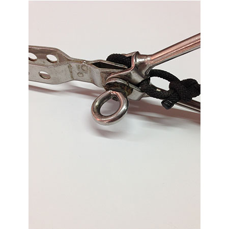 Bullone con occhio Wild Cat