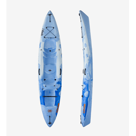 Alternative view of Shark 1