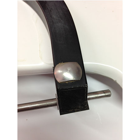 Dado pala timone Wild Cat