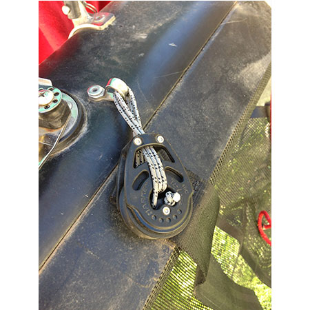 Bozzello Harken 40mm Wild Cat