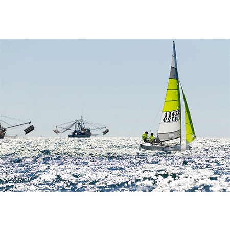 Hobie 16 Easy - immagine 3