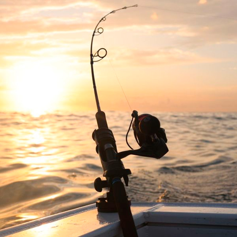 Railblaza HEXX Rod Holder - immagine 7